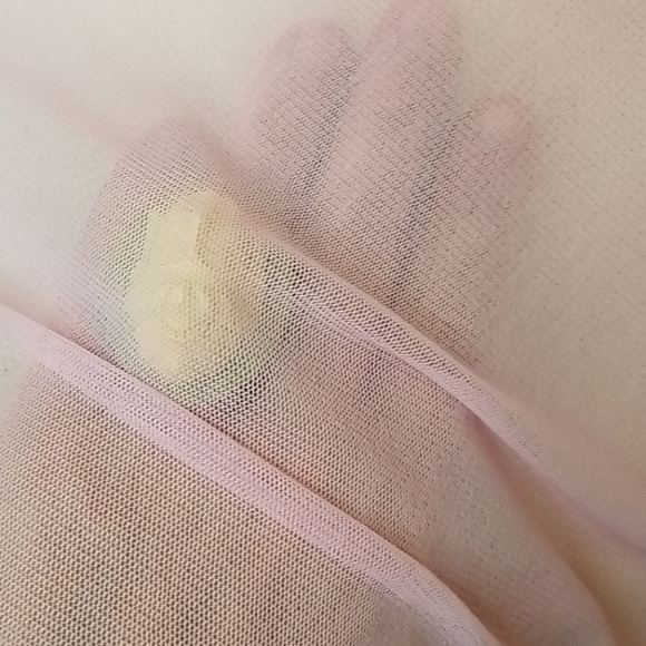 Sheer Pink Dress - Picture 3 of 8